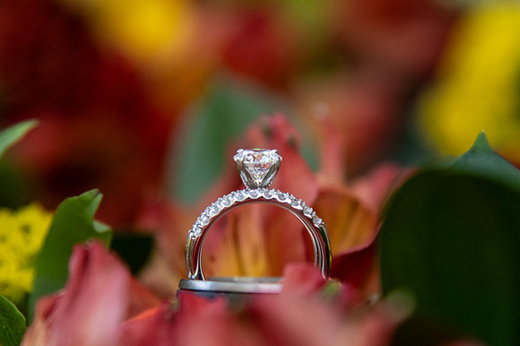 0103-SilverImagePhotos