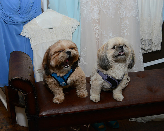 030SilverImagePhotos