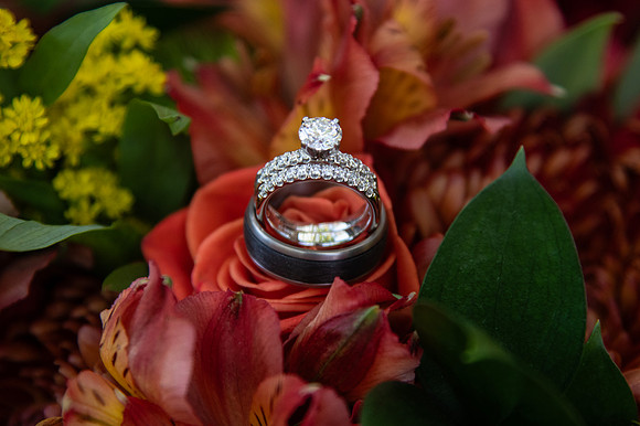 0100-SilverImagePhotos