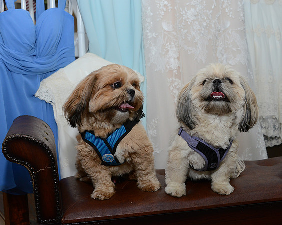 027SilverImagePhotos