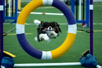 09-SilverImagePhotos