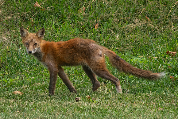 416-SilverImagePhotos