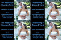 cards 1