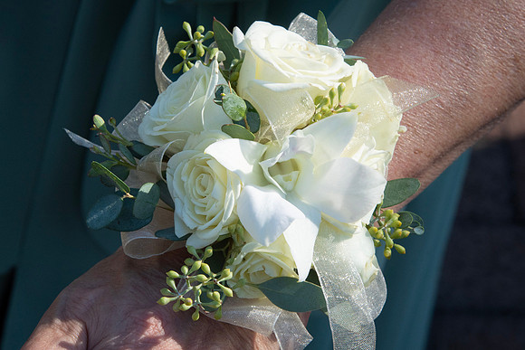 437-SilverImagePhotos