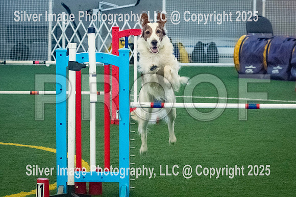 0002-SilverImagePhotos