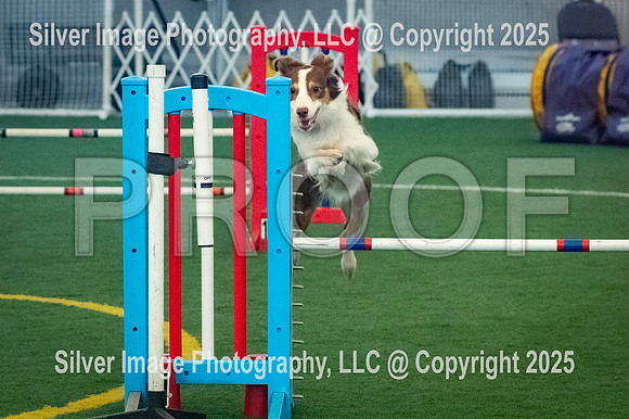 0006-SilverImagePhotos