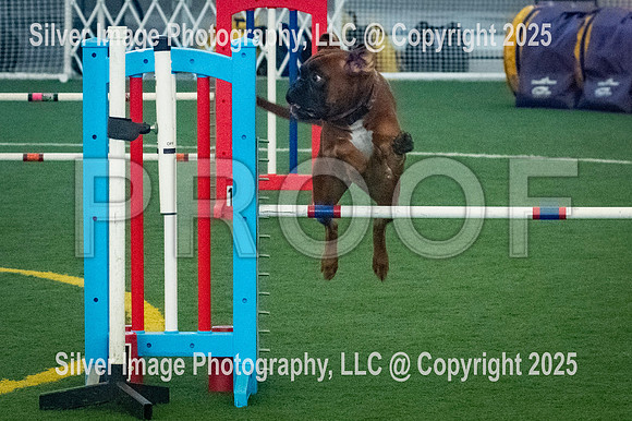 0004-SilverImagePhotos