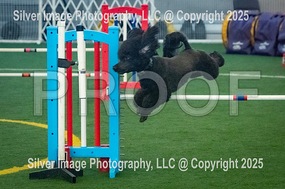 0008-SilverImagePhotos