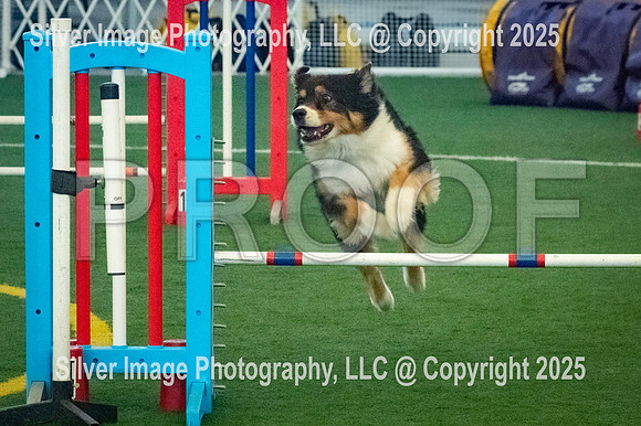 0010-SilverImagePhotos