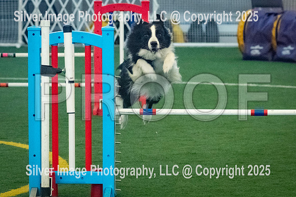 0005-SilverImagePhotos