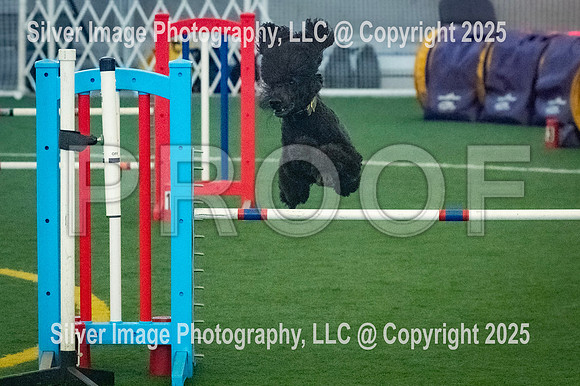 0009-SilverImagePhotos