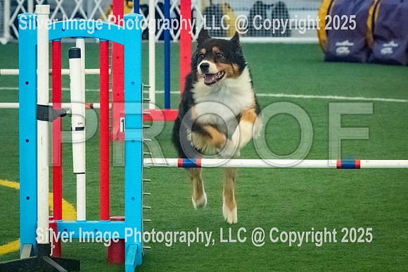 0011-SilverImagePhotos