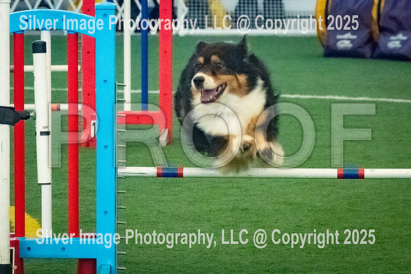 0012-SilverImagePhotos