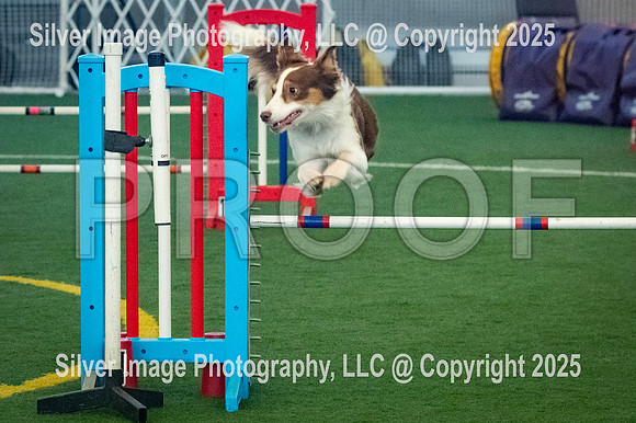 0007-SilverImagePhotos