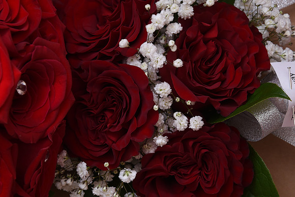 0056SilverImagePhotos
