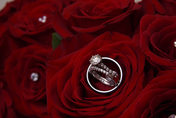 0016SilverImagePhotos