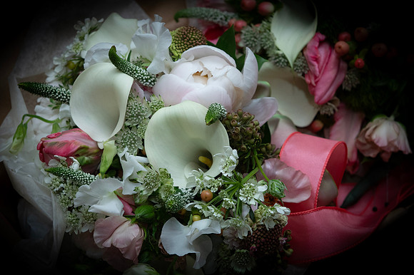 0501-SilverImagePhotos
