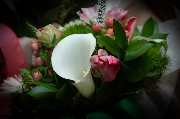 0506-SilverImagePhotos