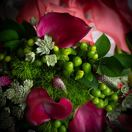 0508-SilverImagePhotos