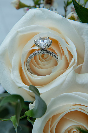 0003-SilverImagePhotos