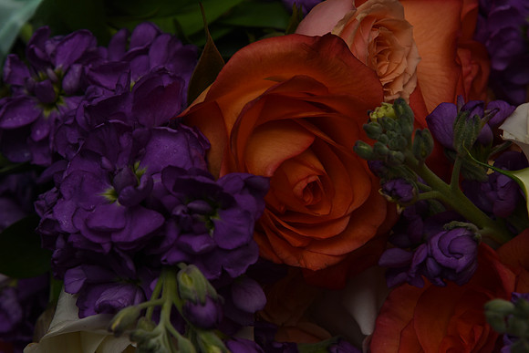 0026SilverImagePhotos