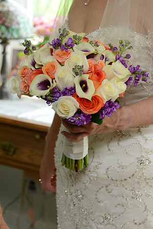 0261SilverImagePhotos