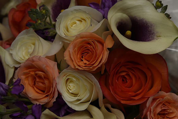 0024SilverImagePhotos