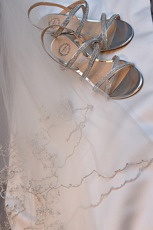 0056SilverImagePhotos