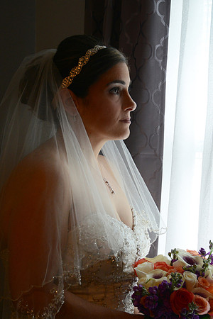 0095SilverImagePhotos