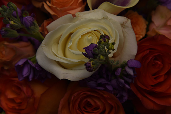 0027SilverImagePhotos