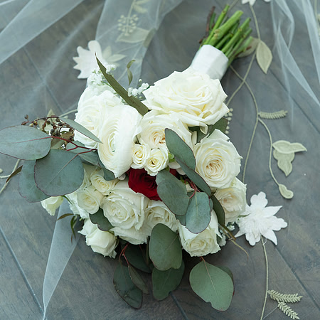 0047-SilverImagePhotos