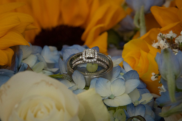 0038-SilverImagePhotos
