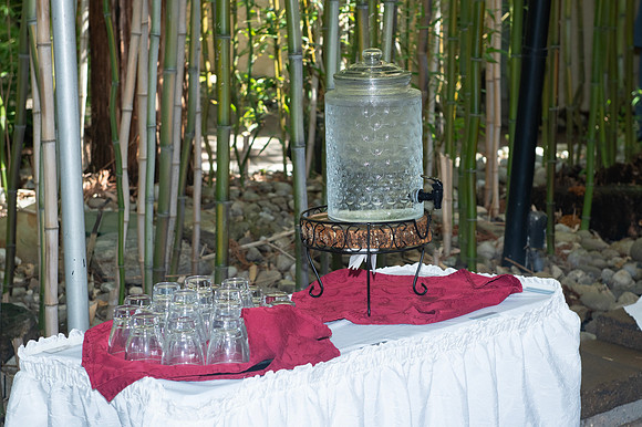 0154-SilverImagePhotos
