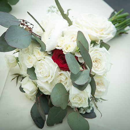 0046-SilverImagePhotos