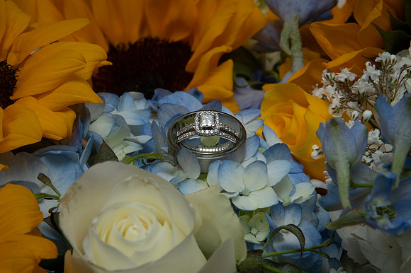 0039-SilverImagePhotos