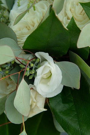 0159-SilverImagePhotos