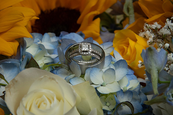 0040-SilverImagePhotos