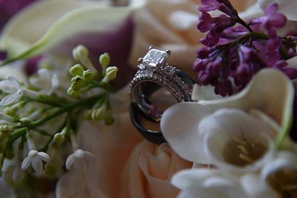 0502SilverImagePhotos
