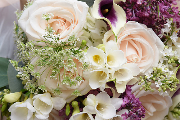 0044SilverImagePhotos