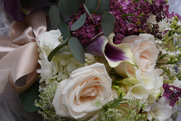 0042SilverImagePhotos