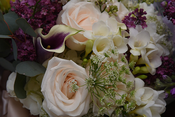 0041SilverImagePhotos