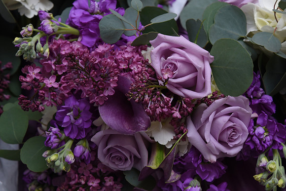 0039SilverImagePhotos