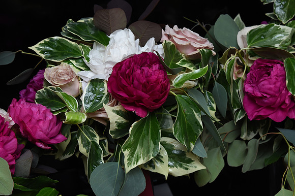 0018silverimagephotos