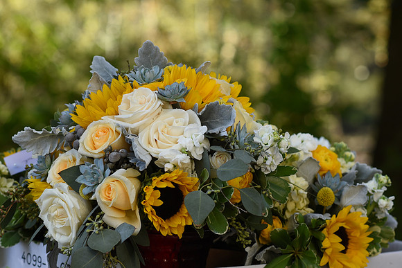 0065SilverImagePhotos