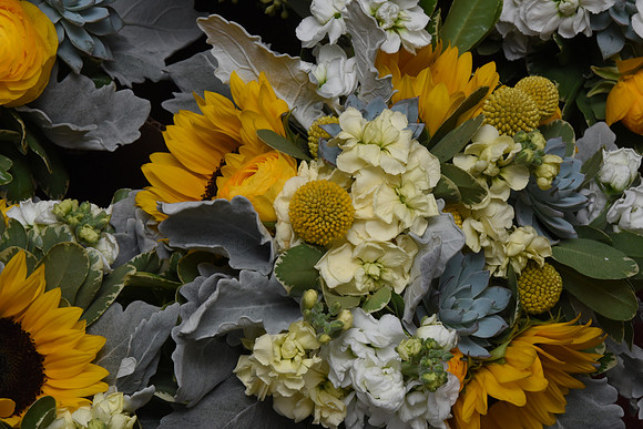 0033SilverImagePhotos