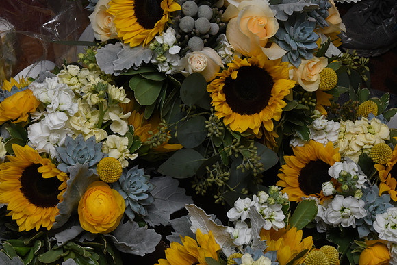 0032SilverImagePhotos