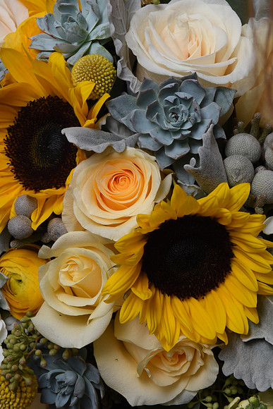 0022SilverImagePhotos
