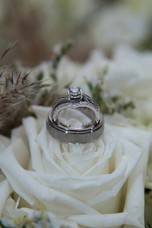 0036SilverImage