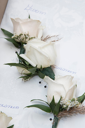 0094SilverImage
