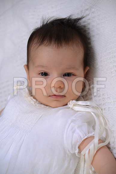 40SilverImage